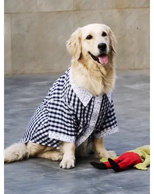 Dog Clothing & Shoes