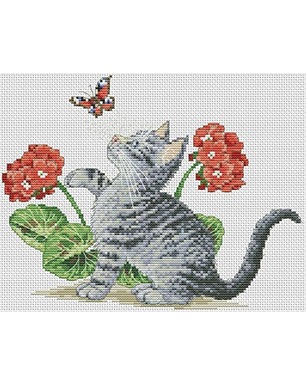 Cross-Stitch