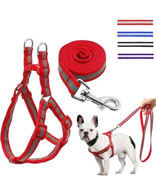 Dog Collars, Harnesses & Leads